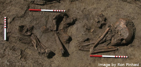 ancient European genome research