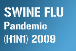 Swine Flu Pandemic (H1N1) 2009