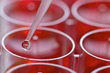 Test tube