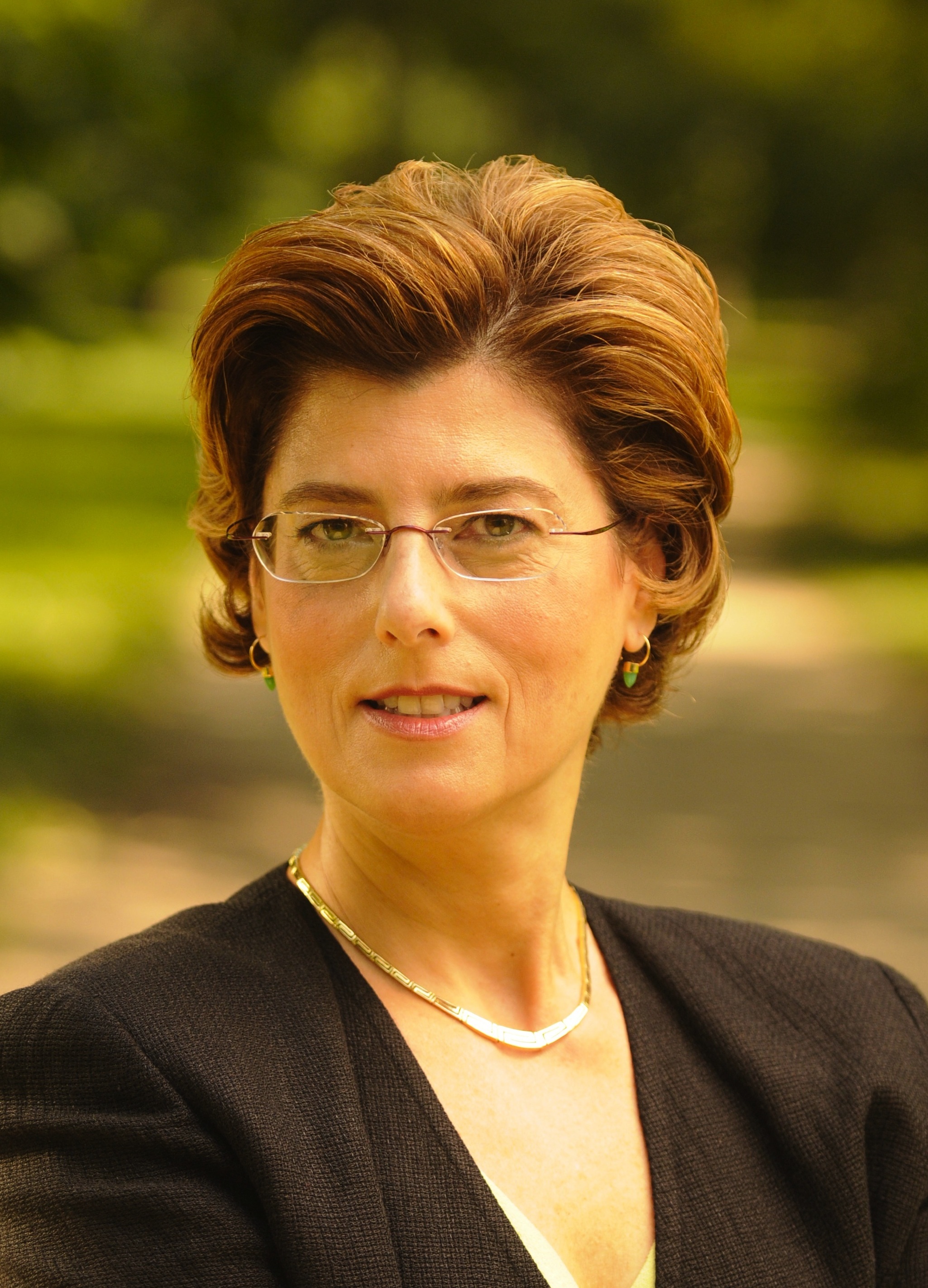 Frontier thesis for dummies image