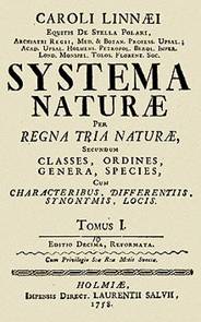 System a Nature