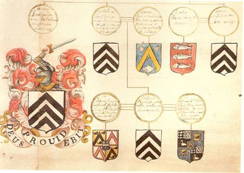 Detail of the genealogical pedigree of William Archdeacon