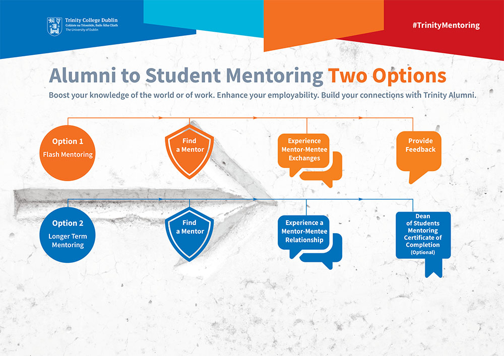 Mentoring Options