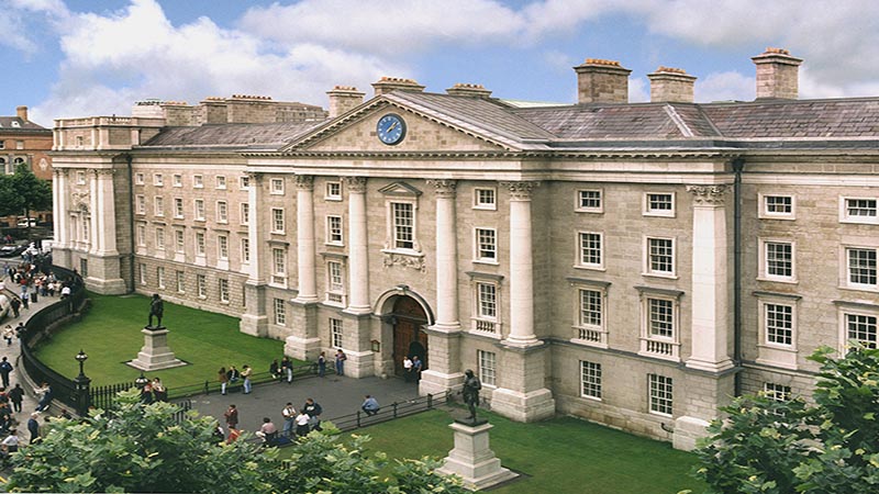 trinity college essay writing trinity college essay writing