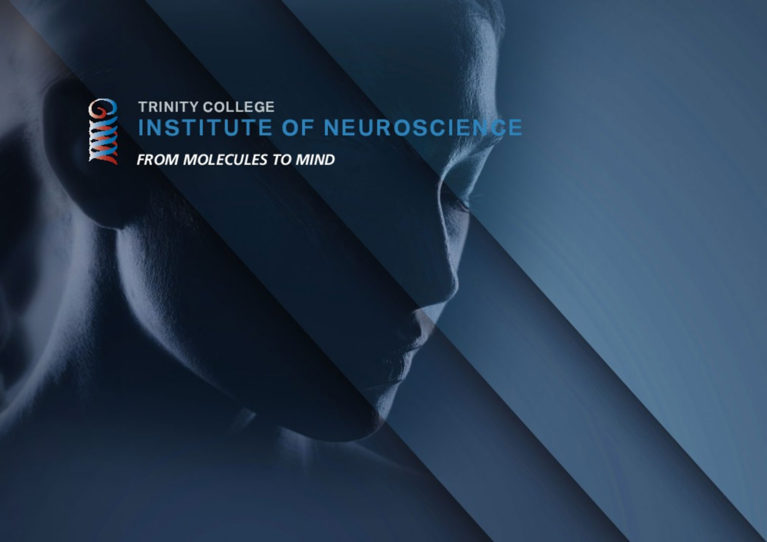 Trinity college neuroscience research