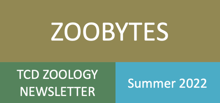 Zoobytes and Xtrabytes