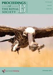 photograph of vulture coming in to land from front cover of PRSB October Issue