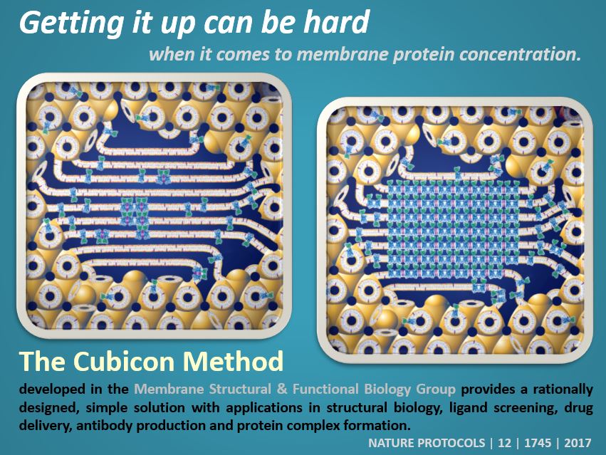  cubicon protocol  