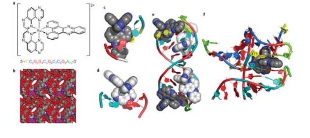 dna