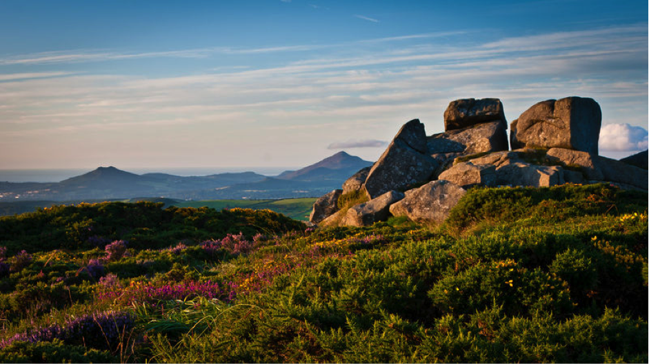 View from Three Rock Mountain, Dublin