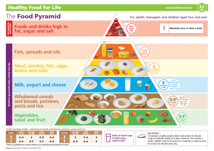 Food pyramid