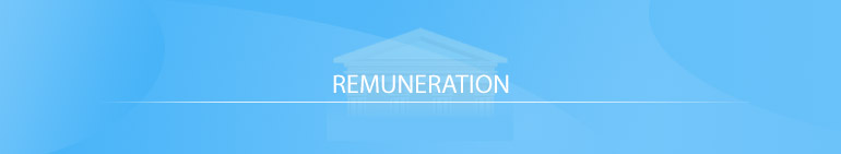 Remuneration Papers