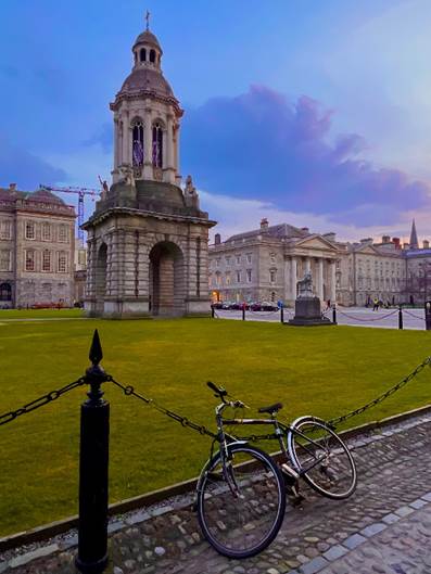 A picture containing grass, outdoor, bicycle, stone Description automatically generated