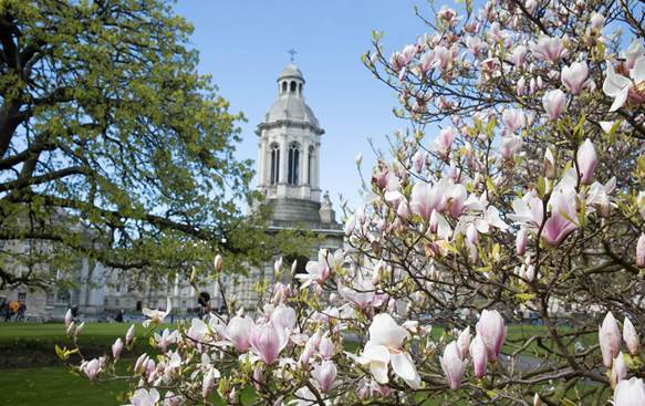 Healthy Trinity Healthy Trinity Trinity College Dublin