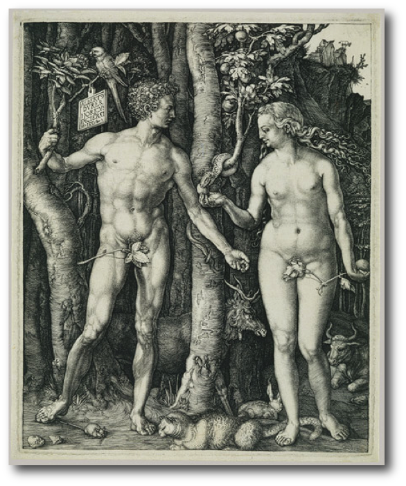 Adam n' Eve