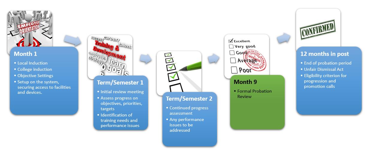 Probation Year Structure