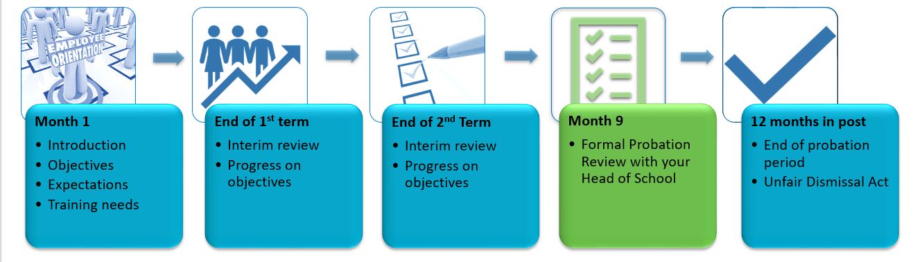 Tenure Track Year One image