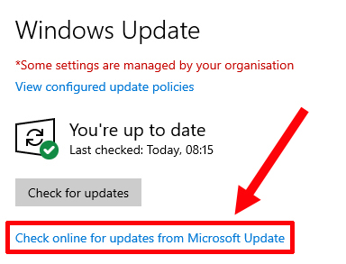 Screenshot of link Check online for updates from Microsoft Update