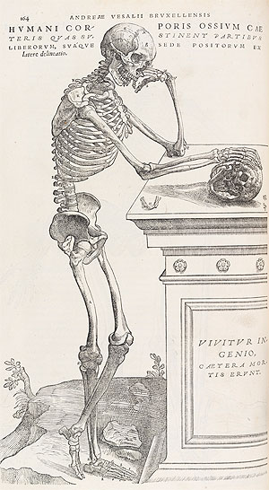 Illustration from De Humani Corporis Fabrica Libri VII by Andreas Vesalius, Basel, undated