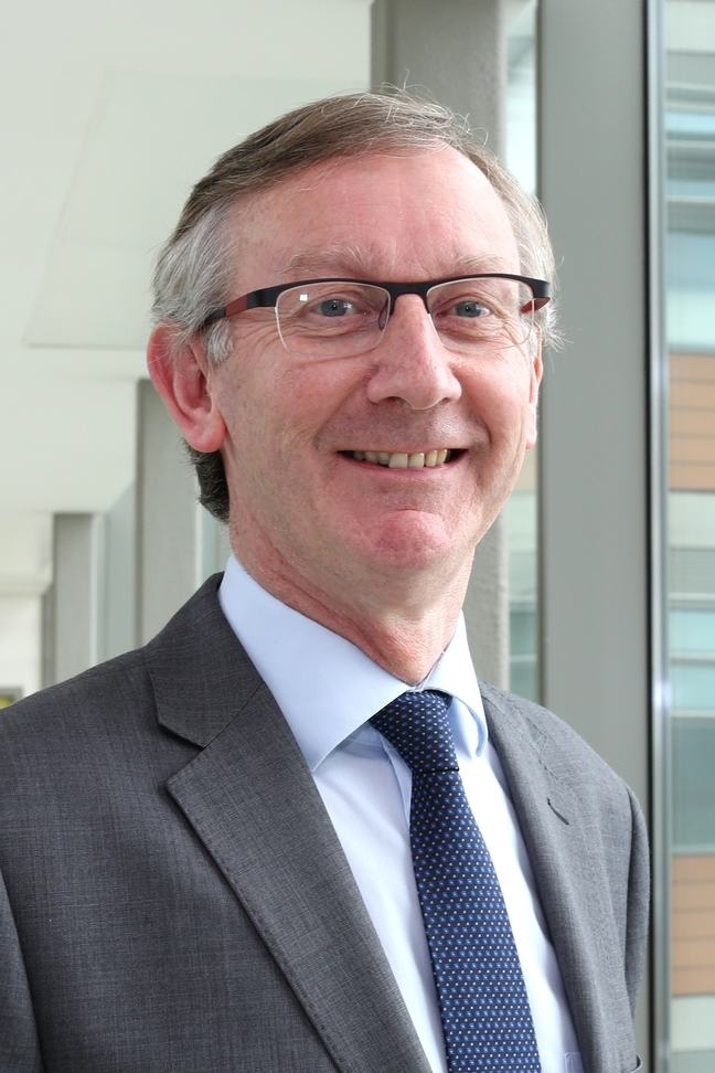 
                            John Sheehan, Consultant in Perinatal Psychiatry at the Rotunda Hospital, Dublin and an Associate Clinical Professor in the UCD School of Medicine