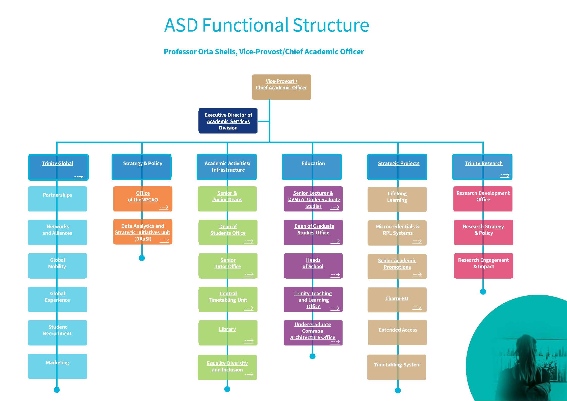 College Structure diagram