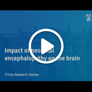 Impact of Neonatal encephalopathy on the brain, Dr Arun Bokde - Assistant Professor in neuroimaging, Discipline of Psychiatry 
