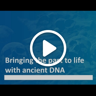 Bringing the past to life with ancient DNA. Dr Lara Cassidy, from Trinity's School of Genetics and Microbiology, talks about her work.