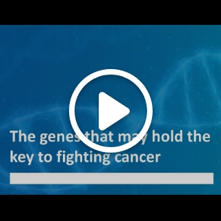 The genes that may hold the key to fighting cancer
