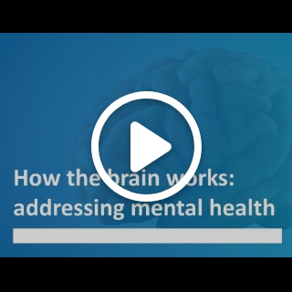 Claire Gillan, Associate Professor in Trinity's School of Psychology, talks about her work. This video is called 'How the brain works: addressing mental health - Trinity Research Stories'
