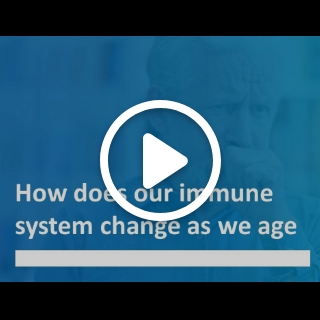 How does our immune system change as we get older?