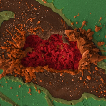 Burst nanowire on silicon substrate base