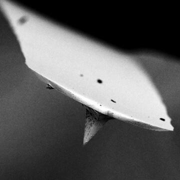 Atomic force microscope (AFM) cantilever and tip