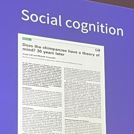 Philosophy Today Series 2024