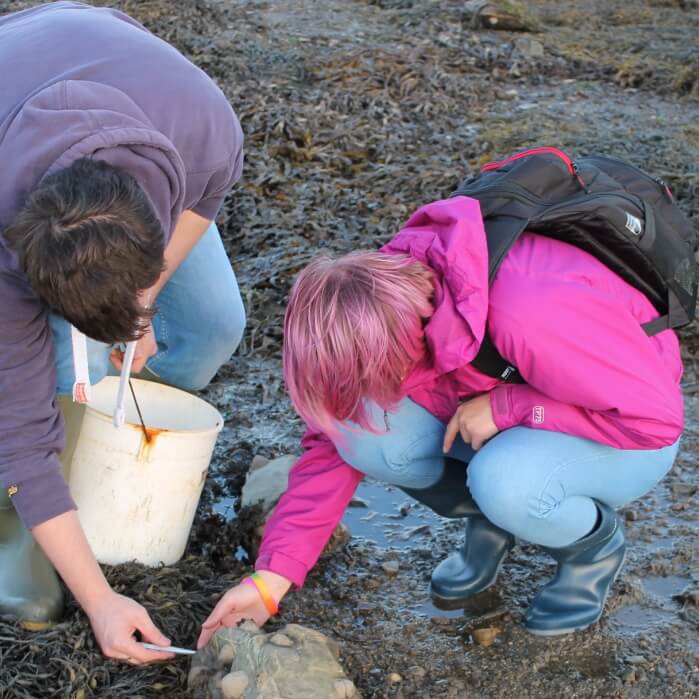 Marine ecology in Portaferry 1