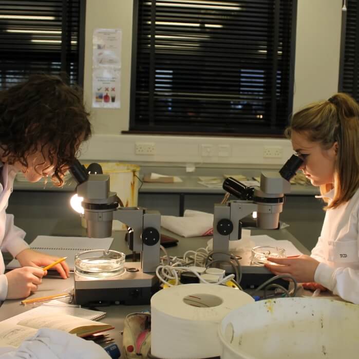 Marine ecology in Portaferry 3