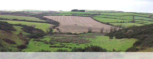 Agricultural landscape in South East Ireland