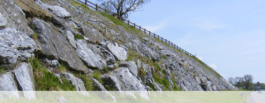 Rocky Bank - Tralee