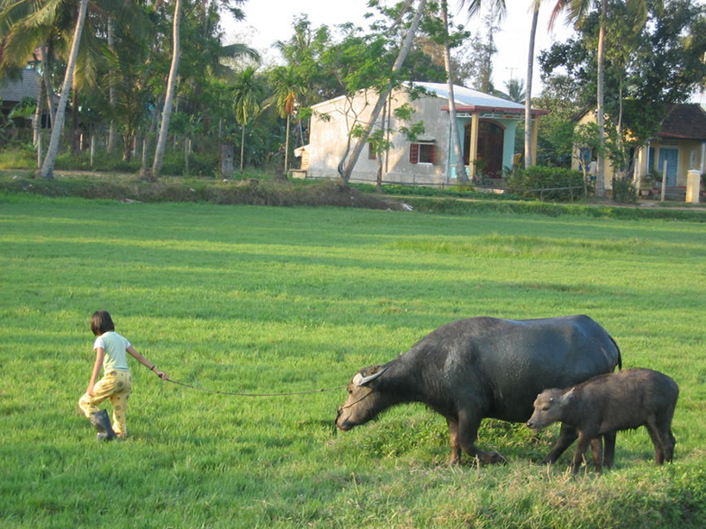 Farming in Thailand