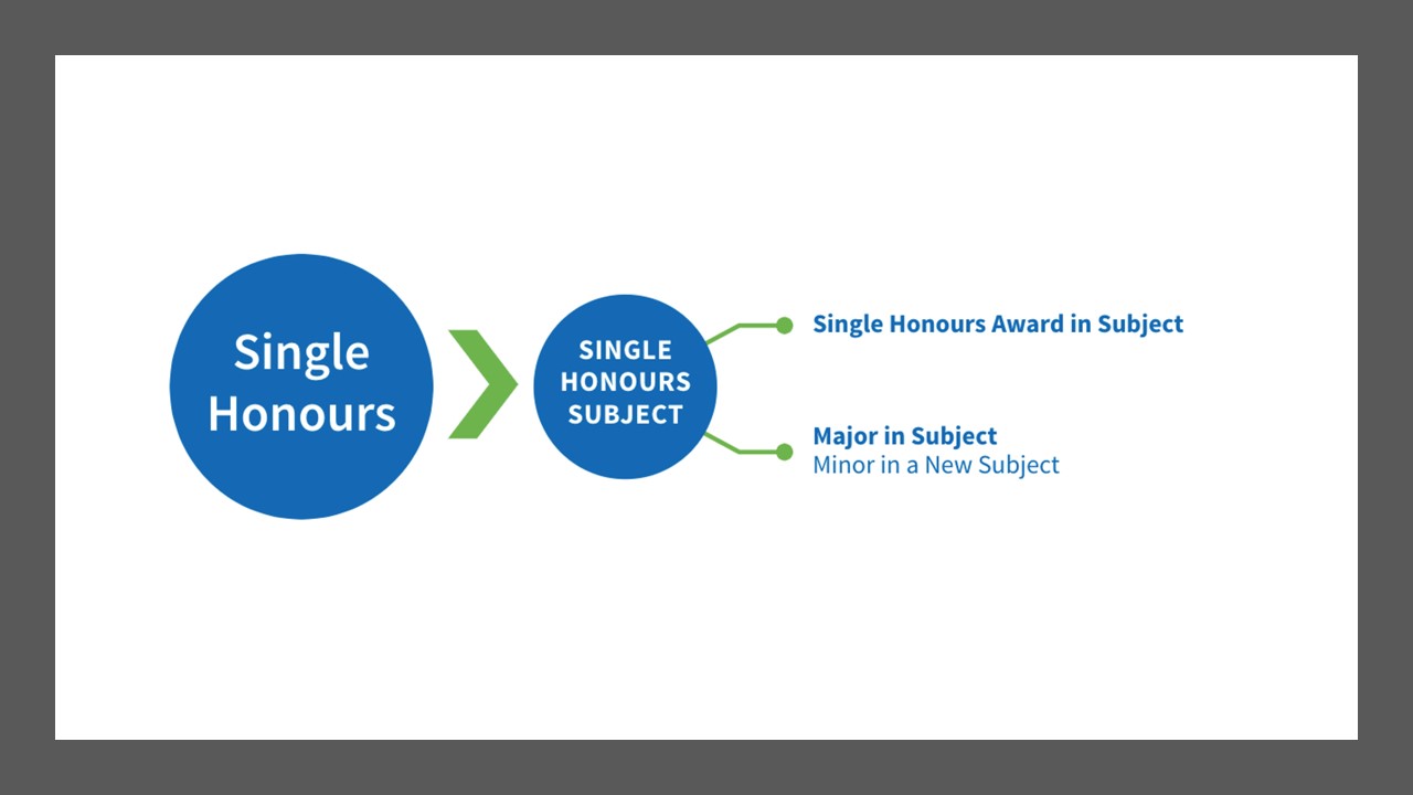 Single Honours Pathways