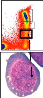 Cell Sorting