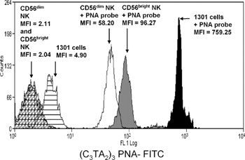 Telomere length by Flow Cytometry