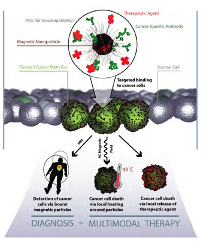 Research Themes Image